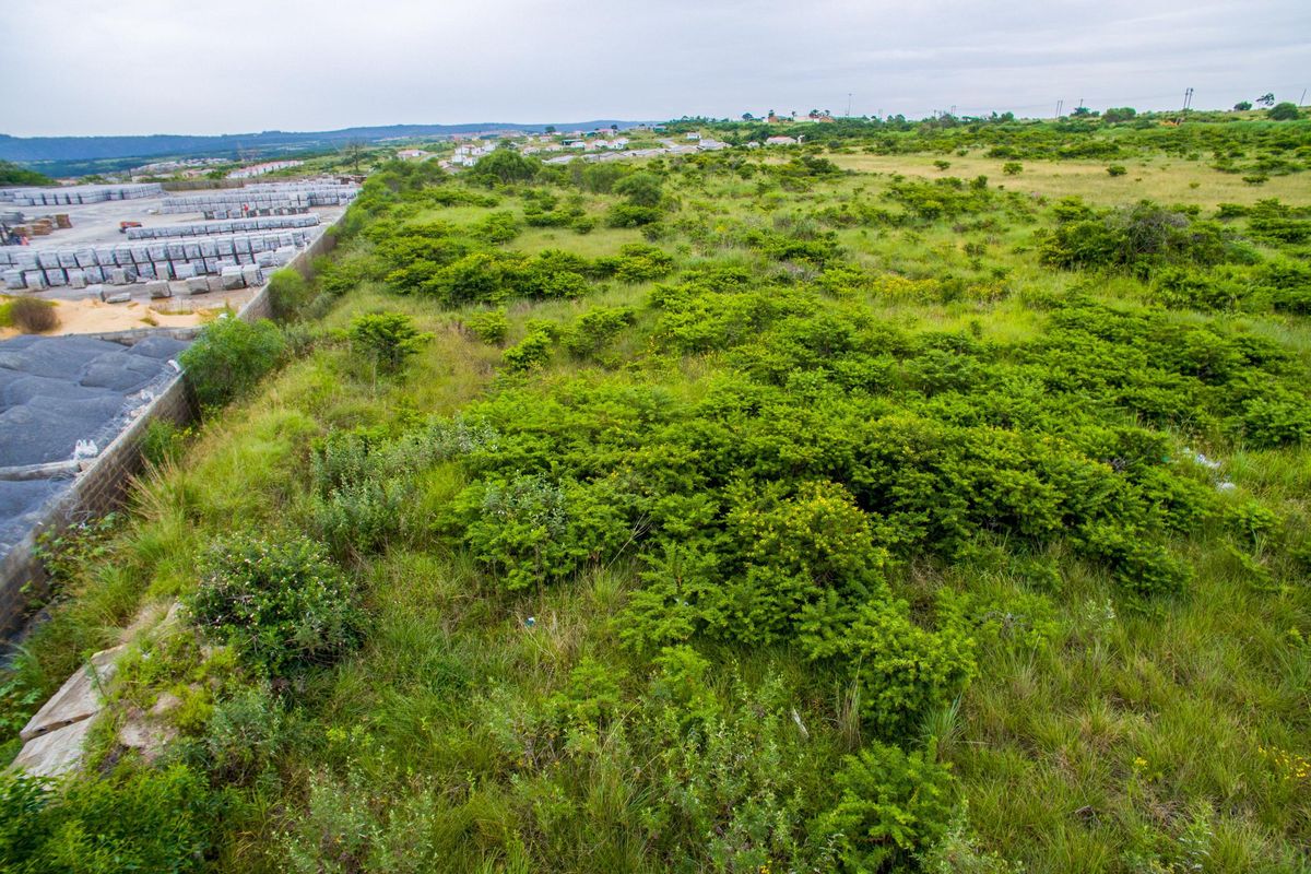 Vacant Land For Sale in Wilsonia, East London, Eastern Cape - Photo 5