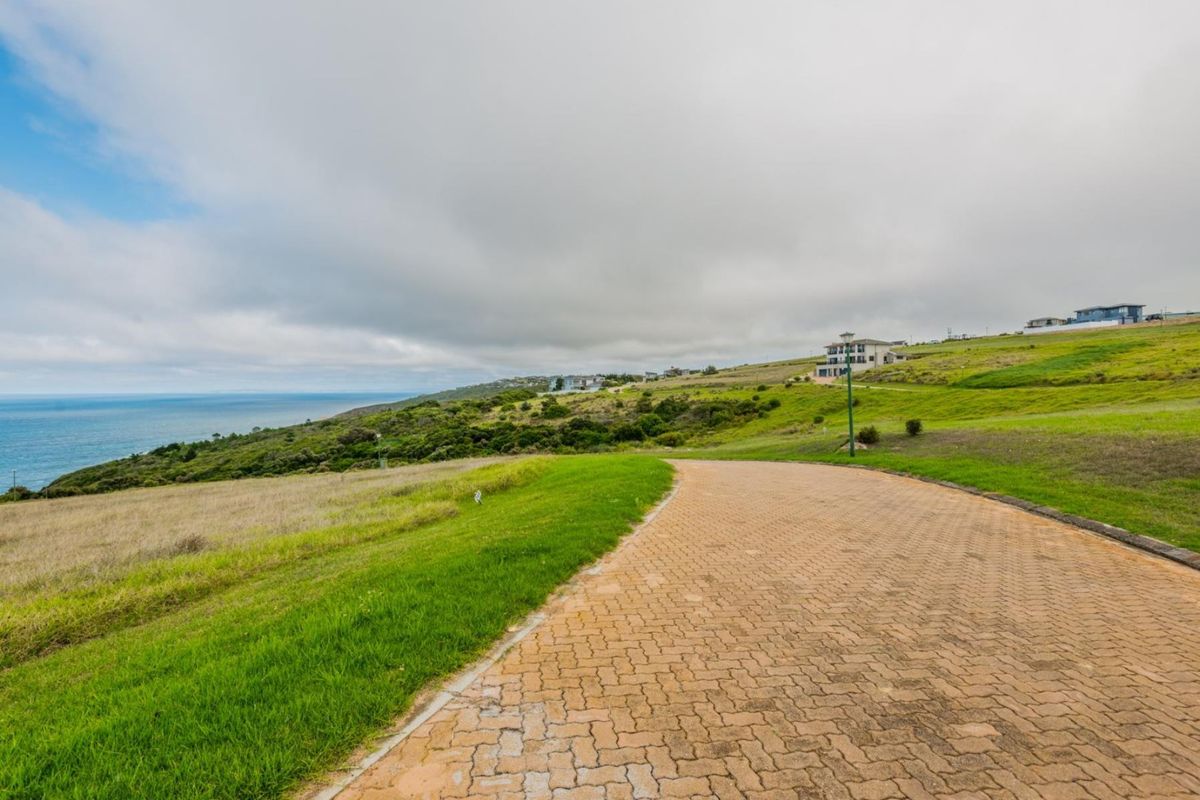 A scenic view of a coastal residential area featuring a paved driveway leading through a grassy landscape with ocean views.