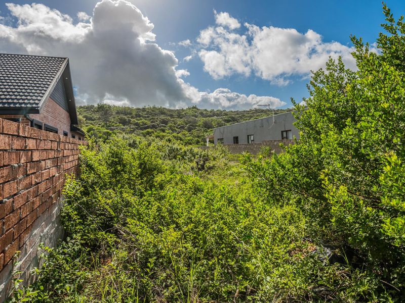 A view of a residential plot featuring dense natural vegetation and a brick boundary wall, with neighboring properties visible in the background.