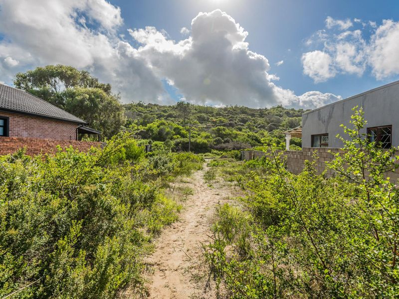 A view of a vacant residential plot featuring natural vegetation, boundary walls, and surrounding residential structures.