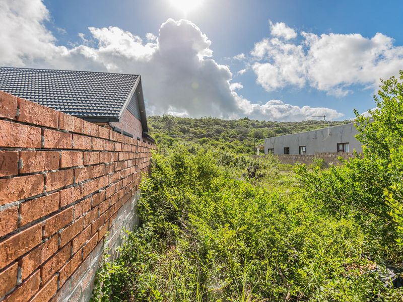 A view of the rear section of the vacant residential plot, featuring a brick boundary wall and natural vegetation.
