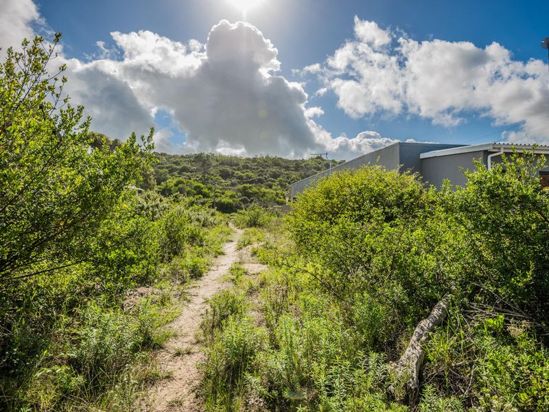 A natural, undeveloped residential plot featuring native vegetation and a dirt pathway leading through the landscape.