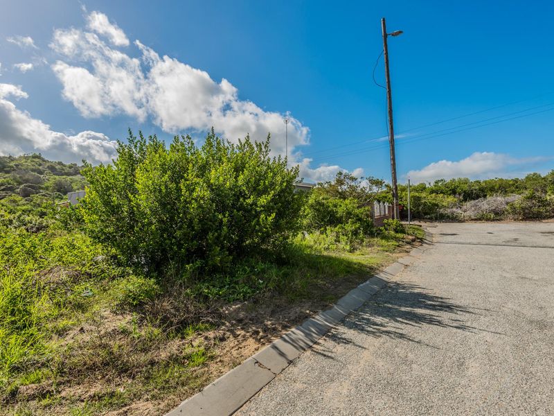 A view of the street frontage showing the asphalt road, concrete curbing, and utility infrastructure adjacent to the vacant residential land.