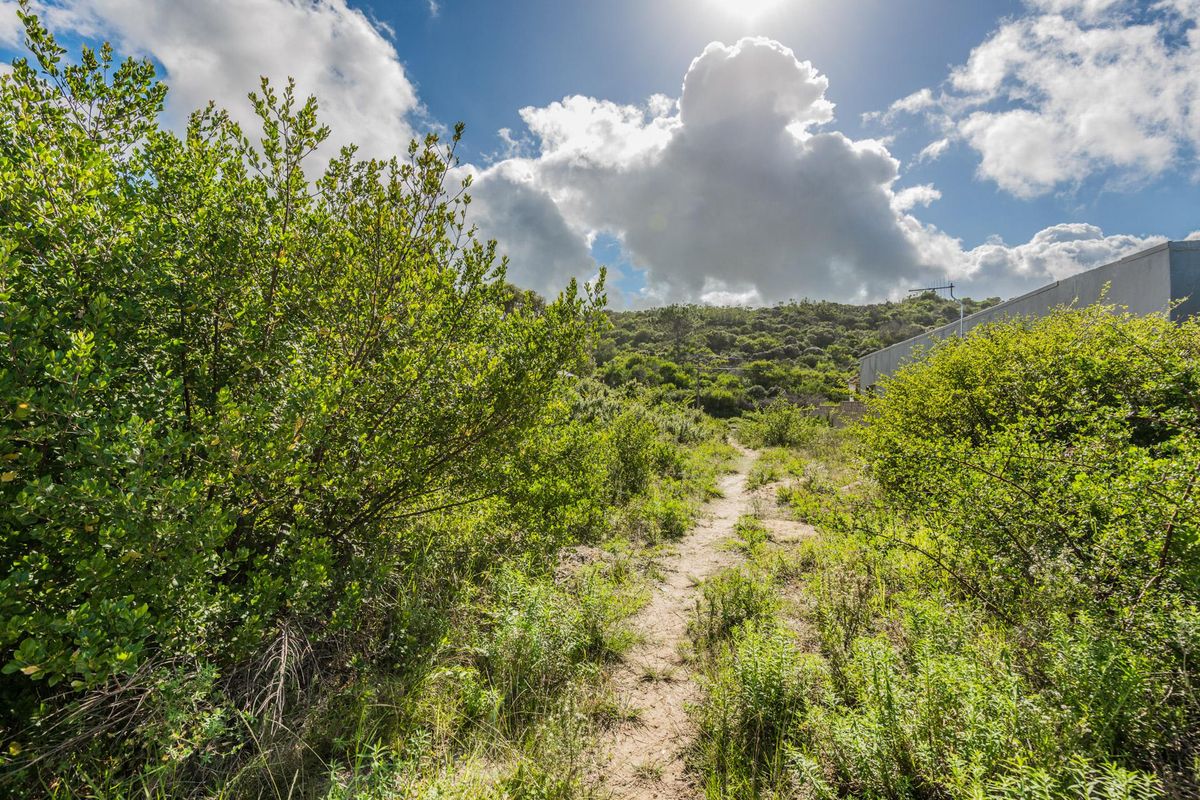 A natural, undeveloped residential plot featuring native vegetation and a dirt pathway, offering a peaceful and scenic outdoor setting.