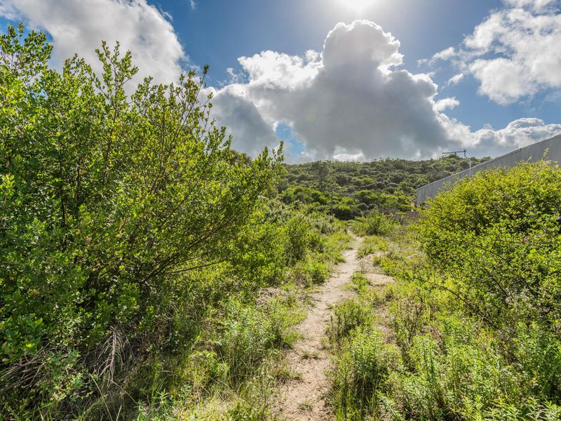 A natural, undeveloped residential plot featuring native vegetation and a dirt pathway, offering a peaceful and scenic outdoor setting.