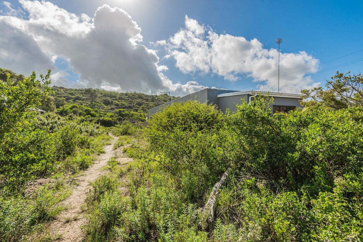 A view of a residential property exterior surrounded by natural vegetation and a dirt path leading towards the structure.