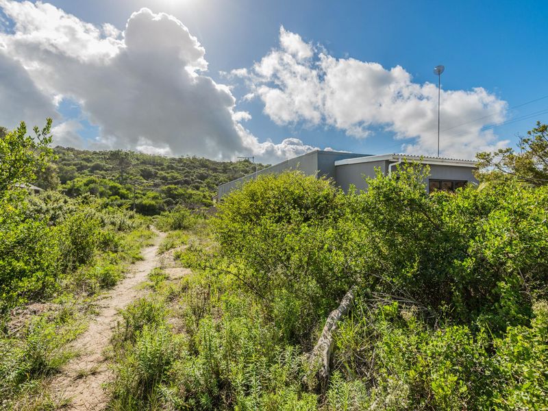 A view of a residential property exterior surrounded by natural vegetation and a dirt path leading towards the structure.