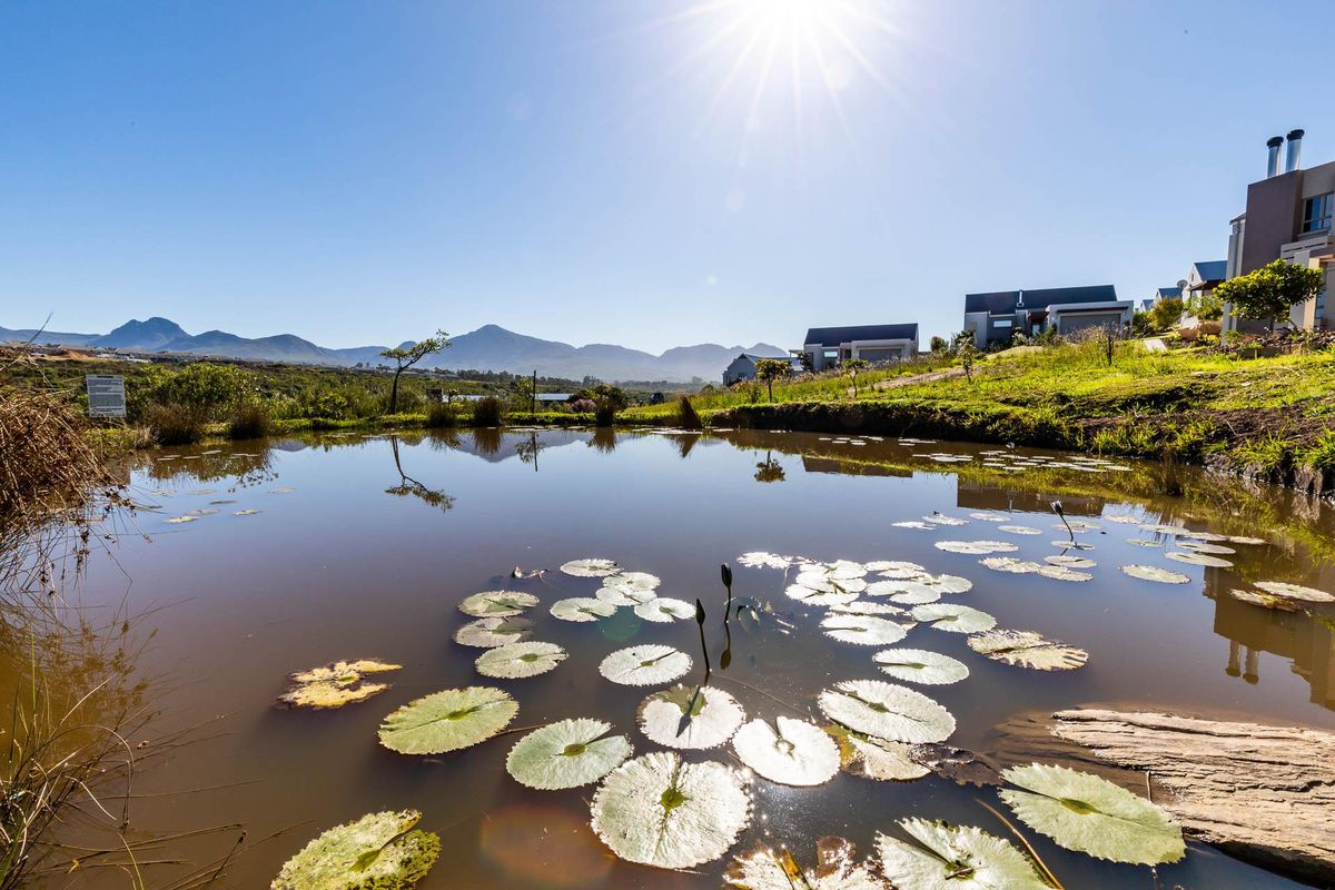 Vacant Land For Sale in Welgelegen, George, Western Cape - Photo 3