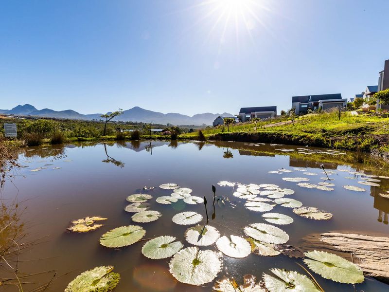 Vacant Land For Sale in Welgelegen, George, Western Cape - Photo 3