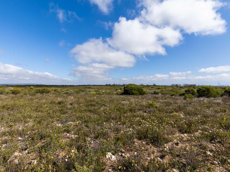 Farm For Sale in Riversdale Rural, Riversdale, Western Cape - Photo 9