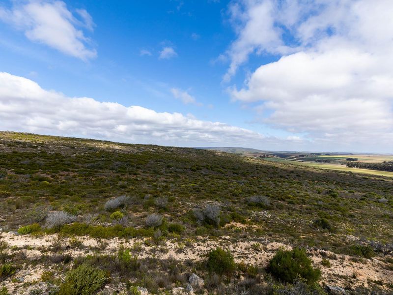 Farm For Sale in Riversdale Rural, Riversdale, Western Cape - Photo 6