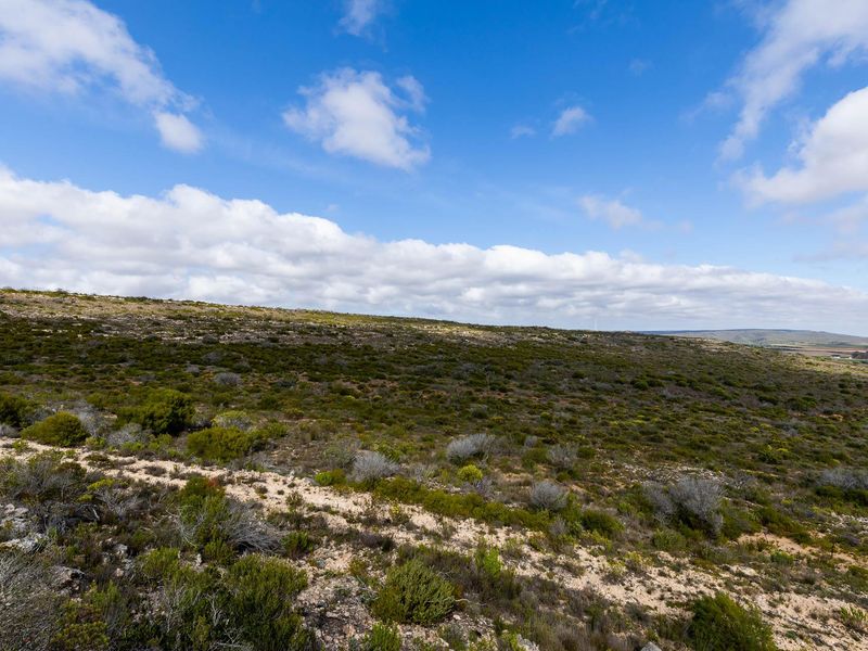 Farm For Sale in Riversdale Rural, Riversdale, Western Cape - Photo 7