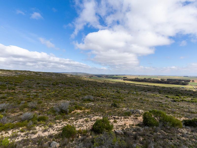 Farm For Sale in Riversdale Rural, Riversdale, Western Cape - Photo 5