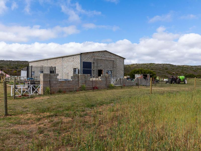 Farm For Sale in Riversdale Rural, Riversdale, Western Cape - Photo 3