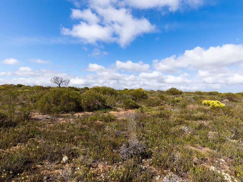 Farm For Sale in Riversdale Rural, Riversdale, Western Cape - Photo 10