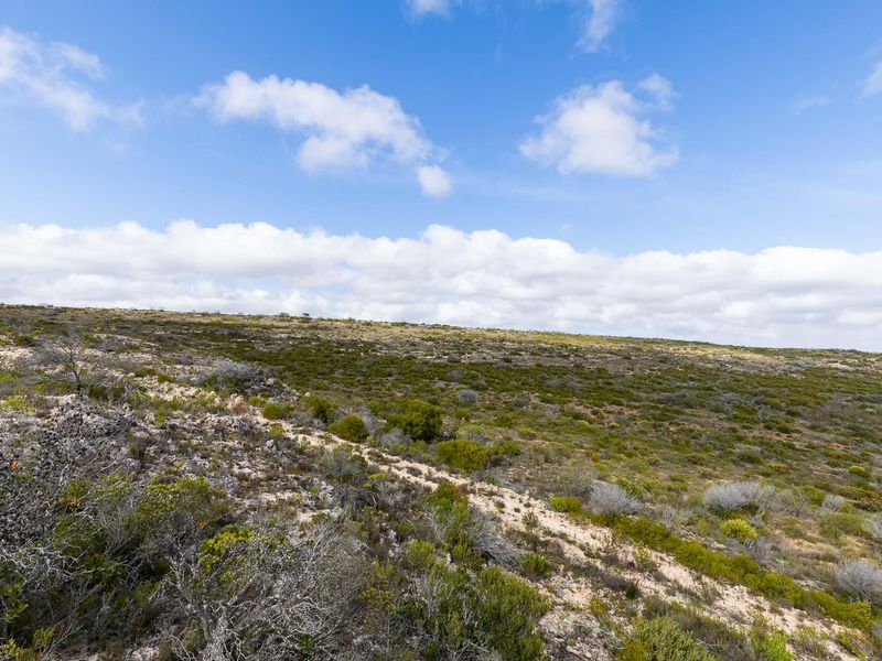 Farm For Sale in Riversdale Rural, Riversdale, Western Cape - Photo 8