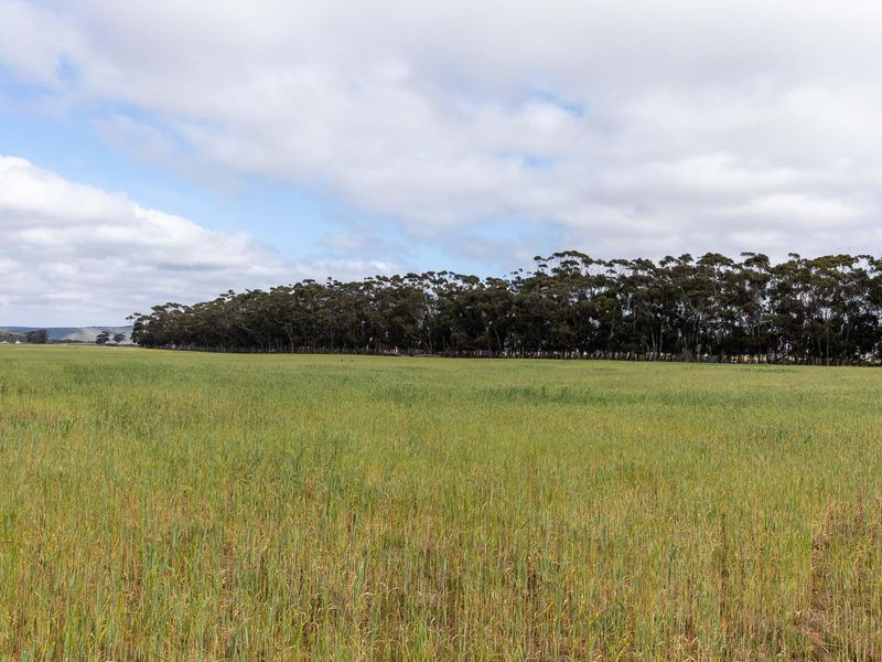 Farm For Sale in Riversdale Rural, Riversdale, Western Cape - Photo 2