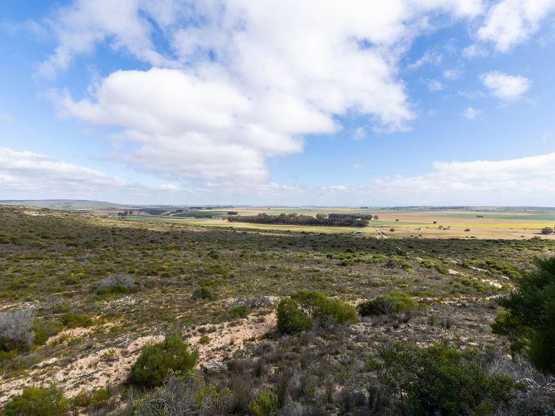 Farm For Sale in Riversdale Rural, Riversdale, Western Cape - Photo 4
