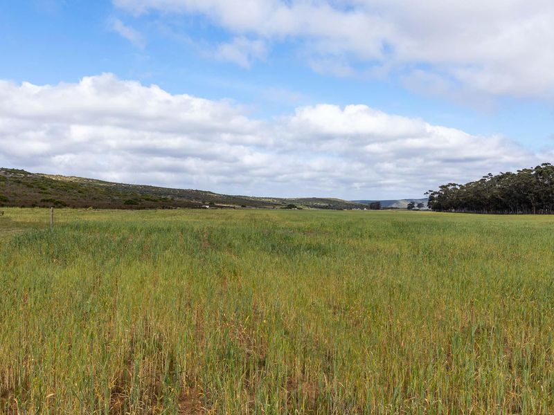 Farm For Sale in Riversdale Rural, Riversdale, Western Cape - Photo 1