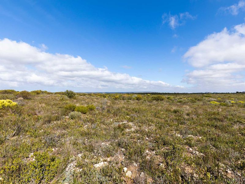 Farm For Sale in Riversdale Rural, Riversdale, Western Cape - Photo 10