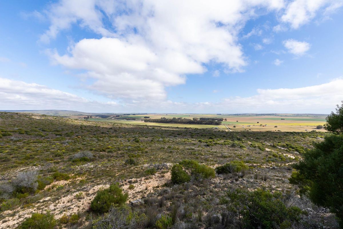 Farm For Sale in Riversdale Rural, Riversdale, Western Cape - Photo 4