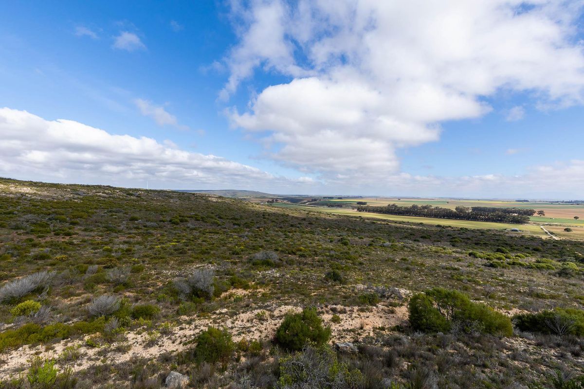 Farm For Sale in Riversdale Rural, Riversdale, Western Cape - Photo 5