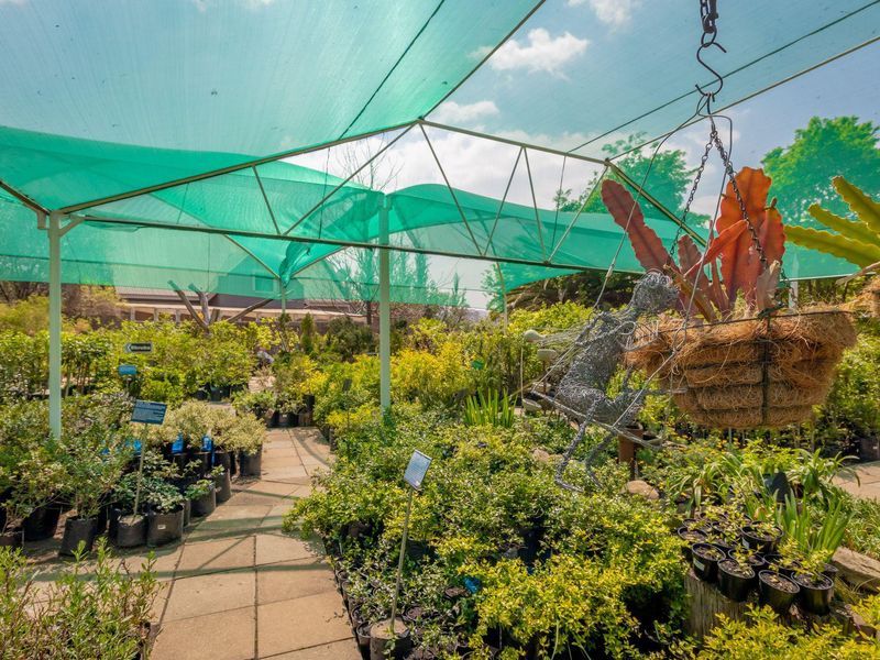 Commercial Property For Sale in Heidelberg Central, Heidelberg, Gauteng - Photo 10