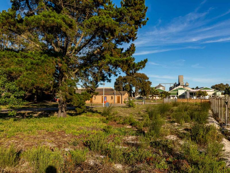Vacant Land For Sale in Albertinia, Western Cape - Photo 10