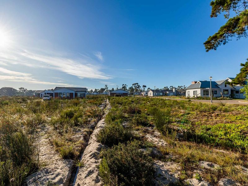Vacant Land For Sale in Albertinia, Western Cape - Photo 8