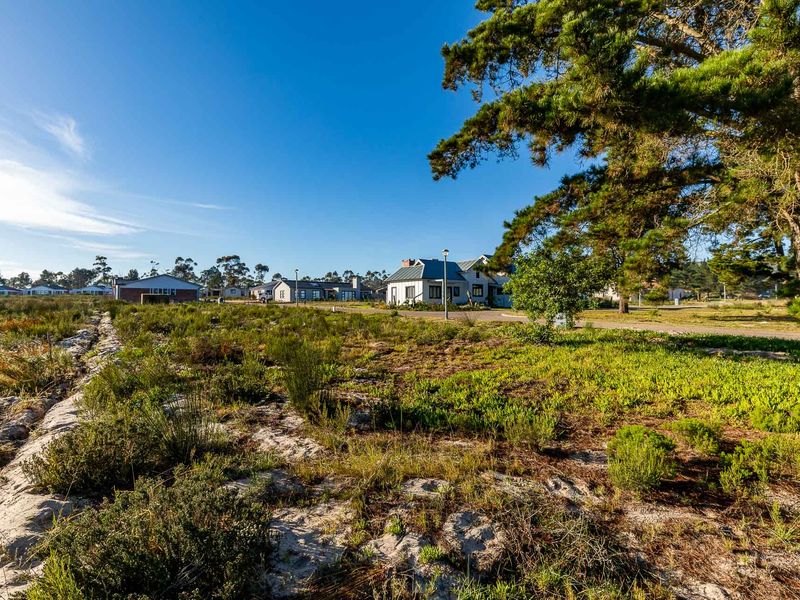Vacant Land For Sale in Albertinia, Western Cape - Photo 7