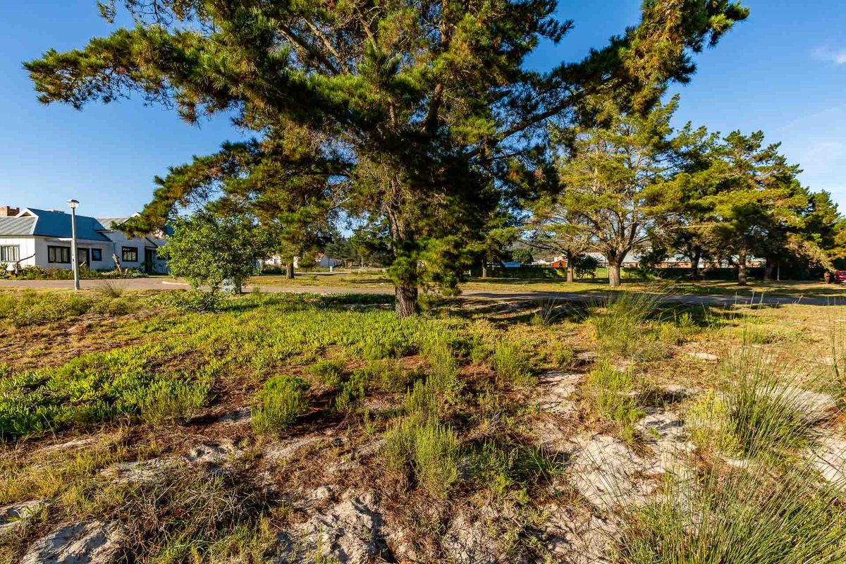 Vacant Land For Sale in Albertinia, Western Cape - Photo 5