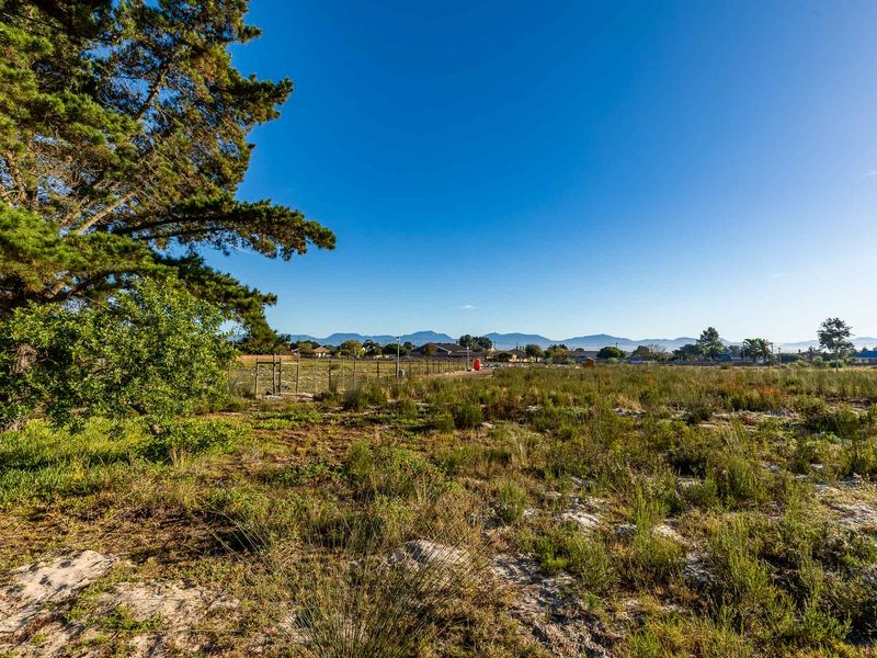 Vacant Land For Sale in Albertinia, Western Cape - Photo 9