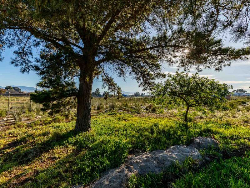 Vacant Land For Sale in Albertinia, Western Cape - Photo 3