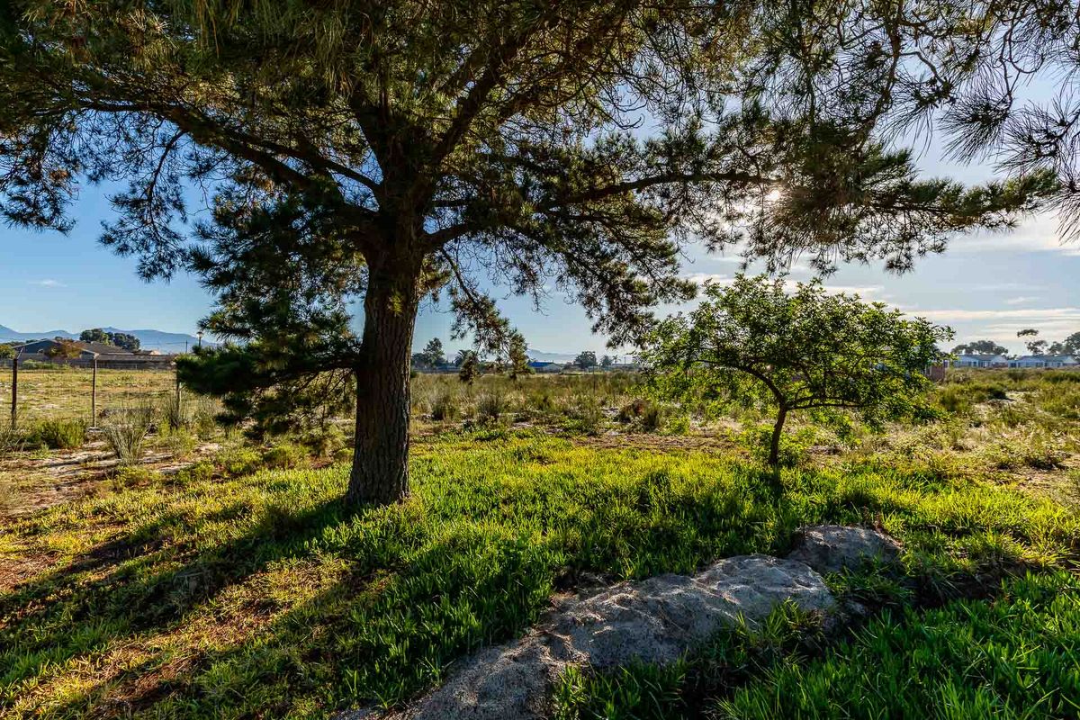 Vacant Land For Sale in Albertinia, Western Cape - Photo 3