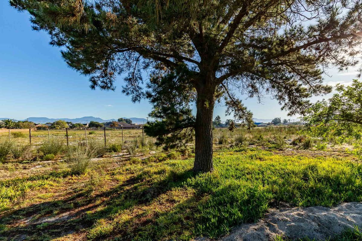 Vacant Land For Sale in Albertinia, Western Cape - Photo 2