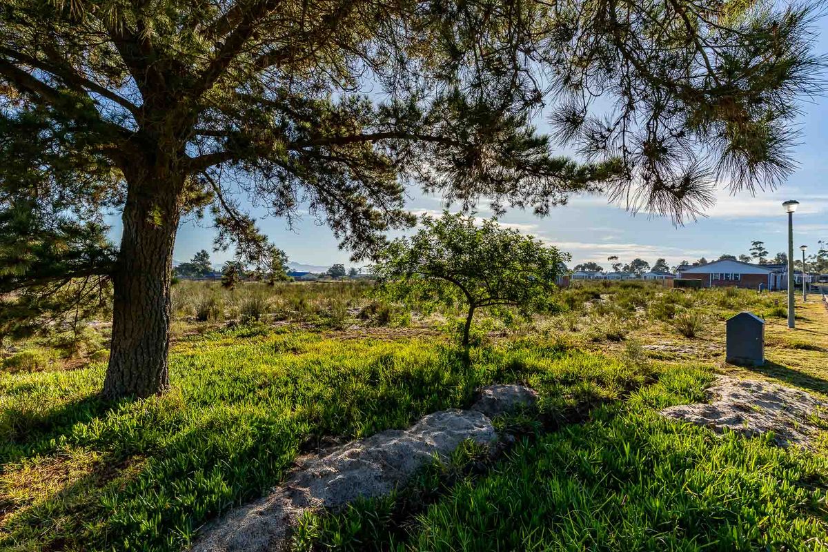 Vacant Land For Sale in Albertinia, Western Cape - Photo 4