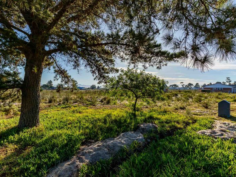 Vacant Land For Sale in Albertinia, Western Cape - Photo 4