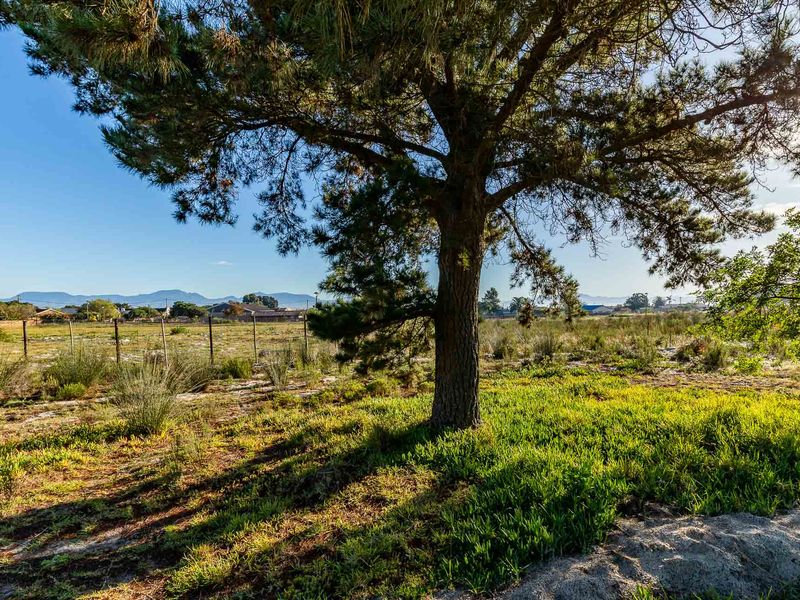Vacant Land For Sale in Albertinia, Western Cape - Photo 2