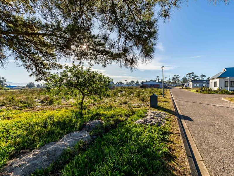 Vacant Land For Sale in Albertinia, Western Cape - Photo 1