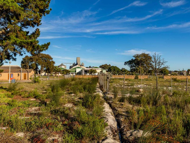 Vacant Land For Sale in Albertinia, Western Cape - Photo 10