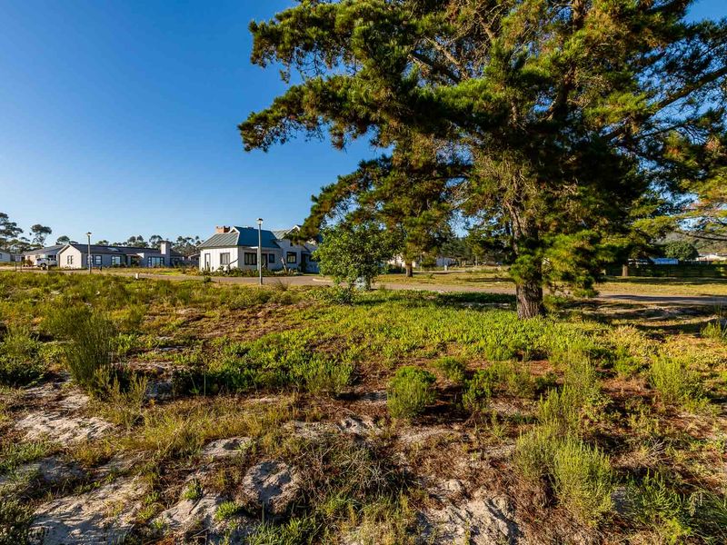 Vacant Land For Sale in Albertinia, Western Cape - Photo 6