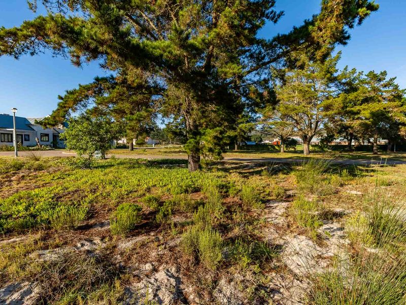 Vacant Land For Sale in Albertinia, Western Cape - Photo 5