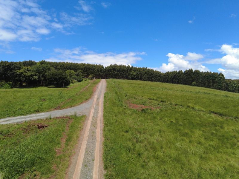 Vacant Land For Sale in Hilton Central, Hilton, KwaZulu Natal - Photo 7