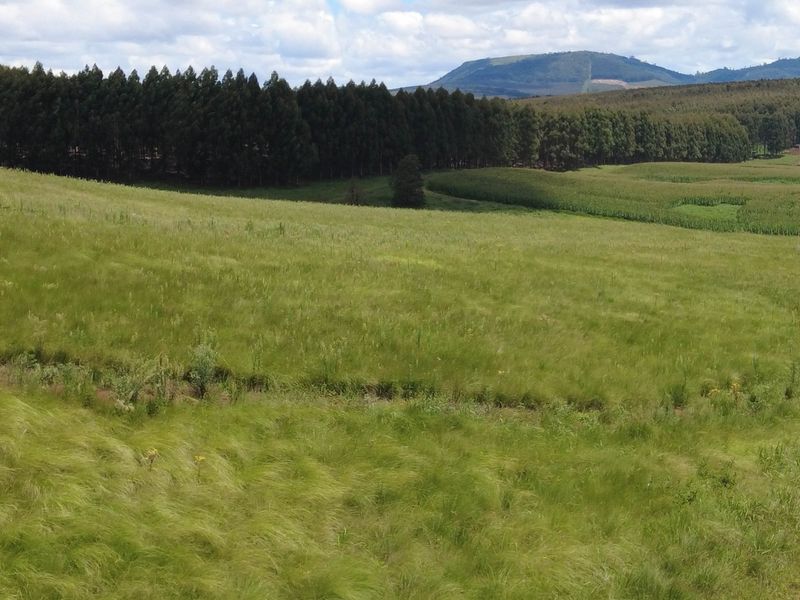 Vacant Land For Sale in Hilton Central, Hilton, KwaZulu Natal - Photo 6