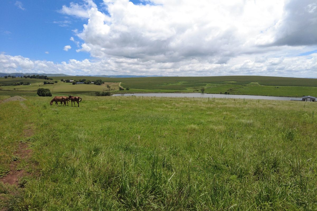 Vacant Land For Sale in Hilton Central, Hilton, KwaZulu Natal - Photo 5