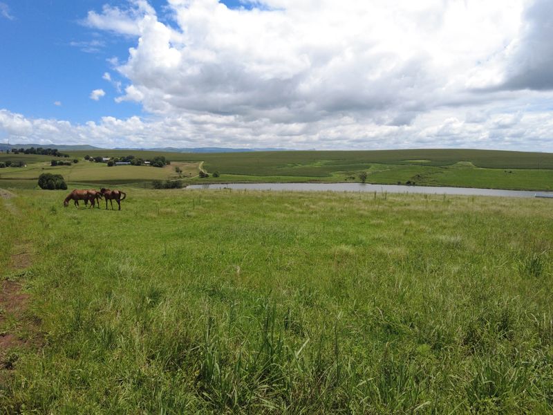 Vacant Land For Sale in Hilton Central, Hilton, KwaZulu Natal - Photo 5