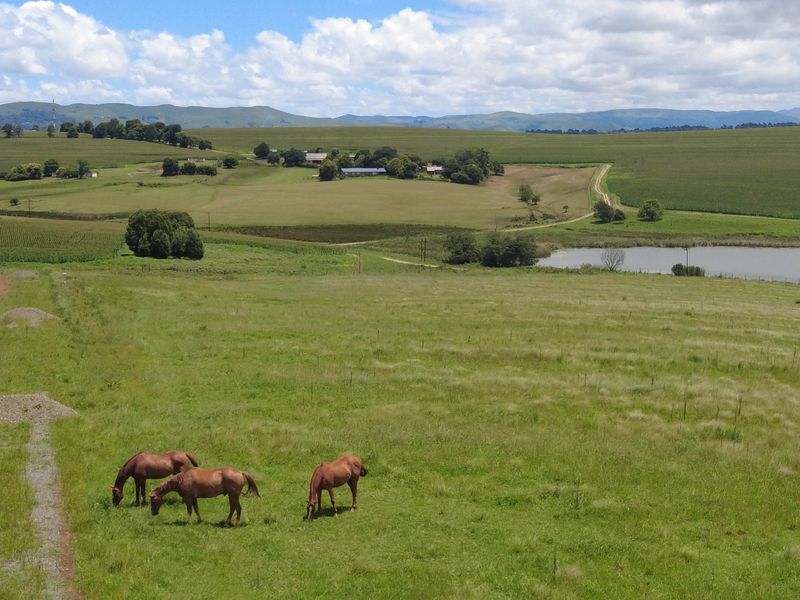 Vacant Land For Sale in Hilton Central, Hilton, KwaZulu Natal - Photo 10