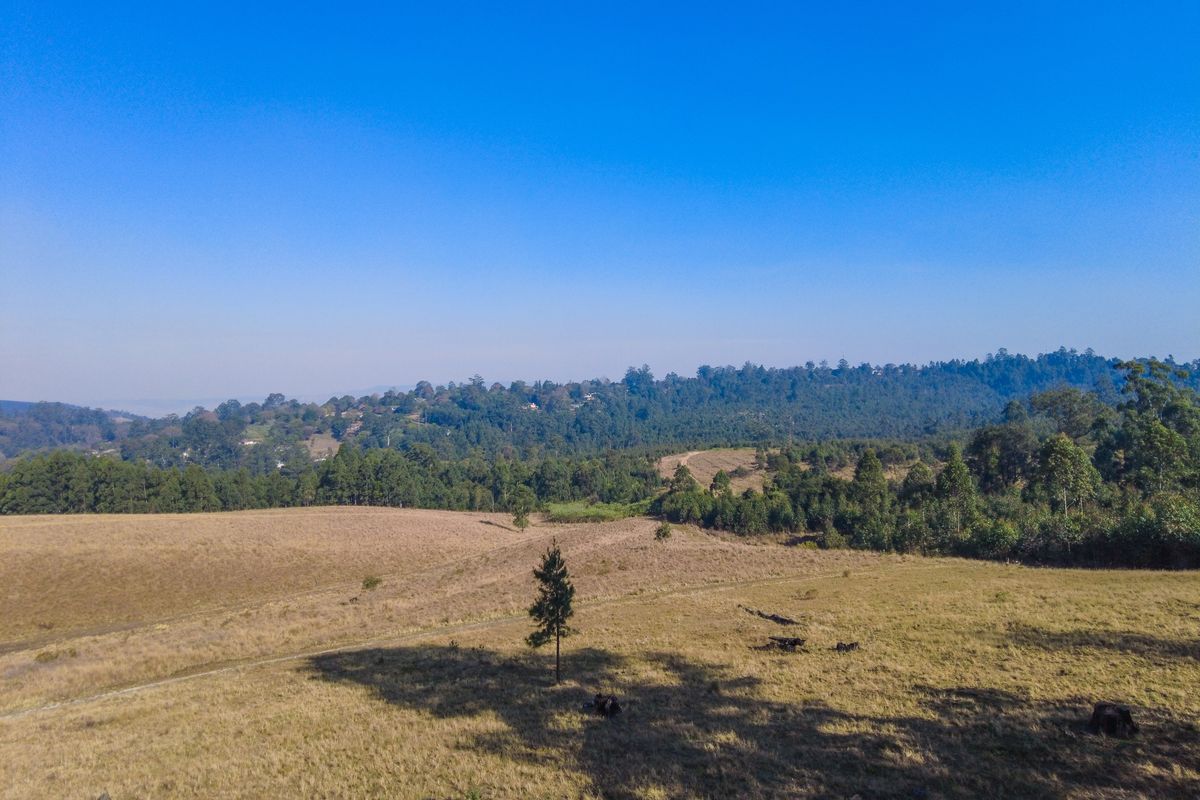 Vacant Land For Sale in Winterskloof, Hilton, KwaZulu Natal - Photo 3