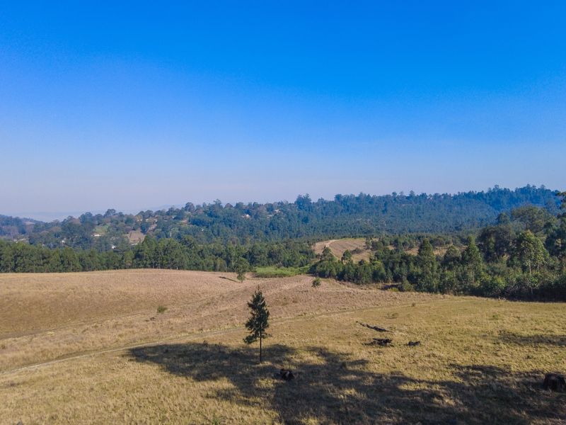 Vacant Land For Sale in Winterskloof, Hilton, KwaZulu Natal - Photo 3