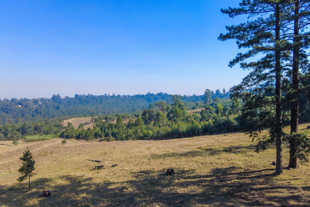 Vacant Land For Sale in Winterskloof, Hilton, KwaZulu Natal - Photo 2